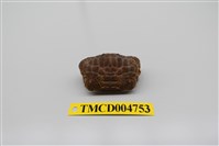 藏品(絨毛仿銀杏蟹)的圖片